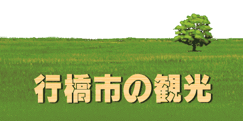 ^Cg