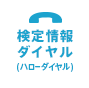 Footerinfo icon