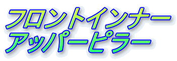 フロントインナー
アッパーピラー