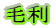 毛利 