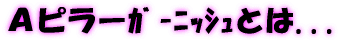 Ａピラーｶﾞｰﾆｯｼｭとは... 